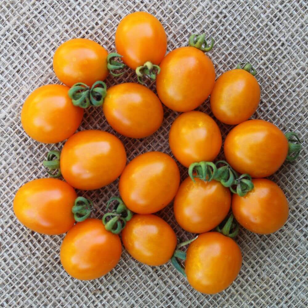 You can't you won’t and you don't stop Orange