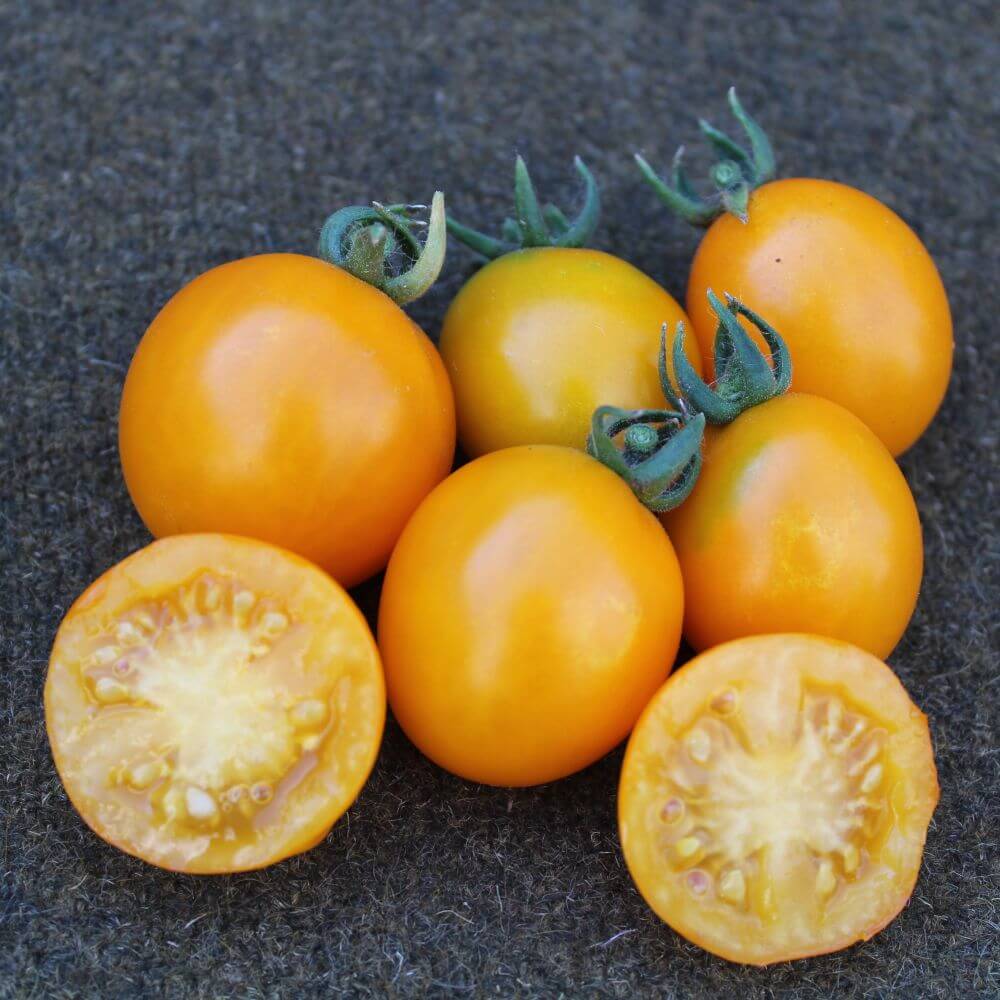 You can't you won’t and you don't stop Orange - Image 2