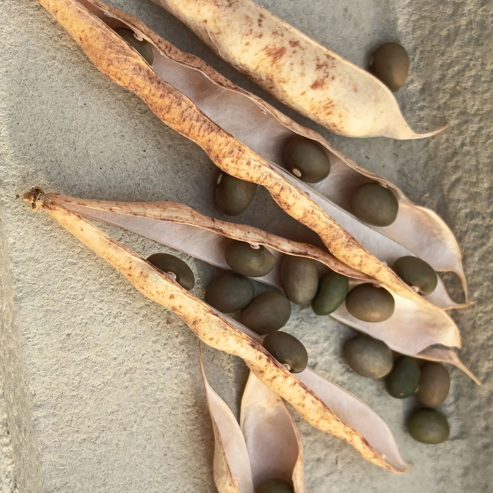 Fort Portal Jade